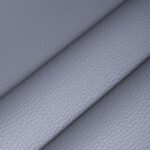 Γκρι Δερματίνη