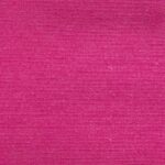 Φούξια Λονέτα