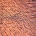 Μπρονζέ Μπροκάρ με Καμπυλωτά Μοτίβα