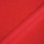 Κοραλλί Αλκαντάρα